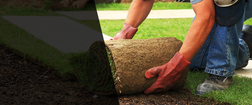 North Plains Landscapers